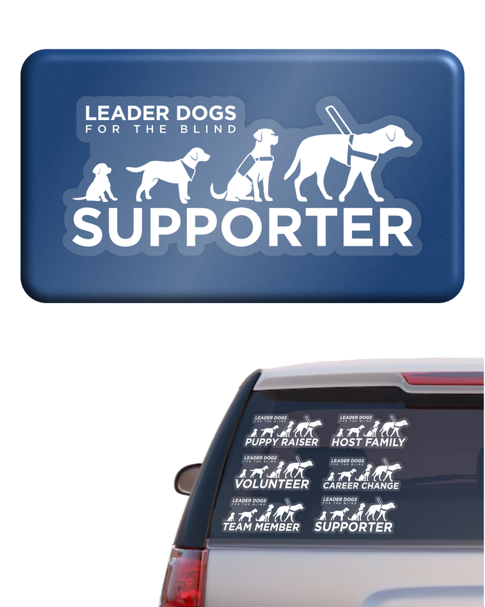 Car Decal Sticker - LDB Evolution