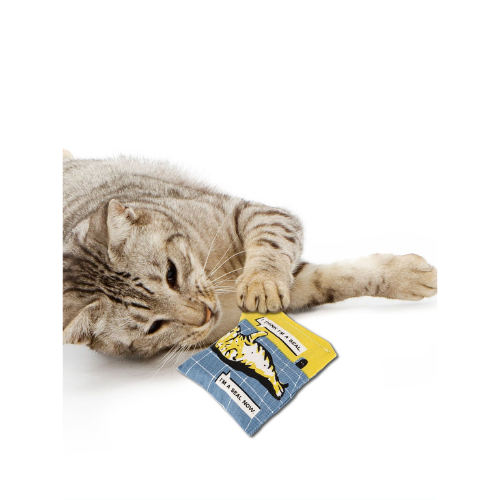 Your Cat is High Catnip Toy – a catnip-filled toy for cats to play with, designed for fun and active play.
