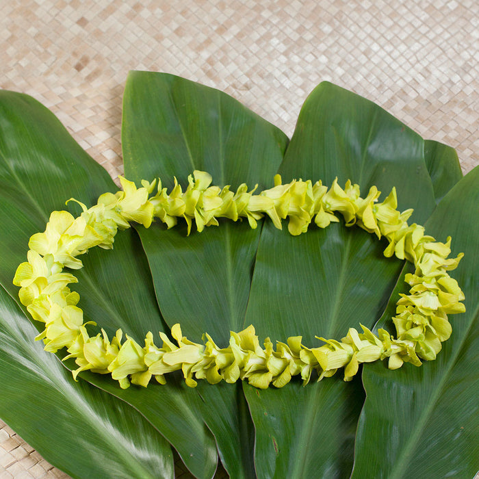 3 PACK SINGLE ORCHID LEIS - HAWAIIAN LEIS