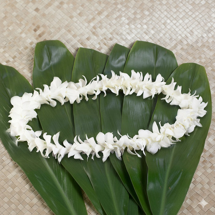 3 PACK SINGLE ORCHID LEIS - HAWAIIAN LEIS