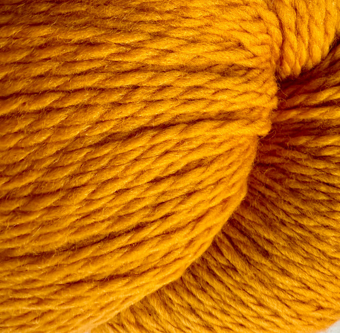 8444 Butternut Squash