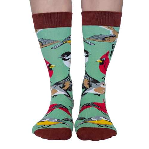 Bird Nerd socks for her – women’s socks with colorful bird illustrations and fun text