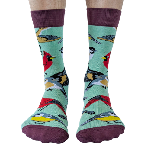 Bird Nerd men’s socks – novelty socks with colorful bird illustrations and fun text
