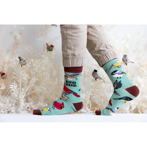 Bird Nerd men’s socks – novelty socks with colorful bird illustrations and fun text