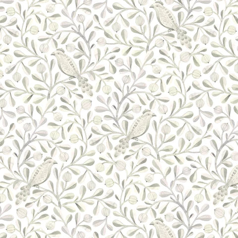 Birds & Branches