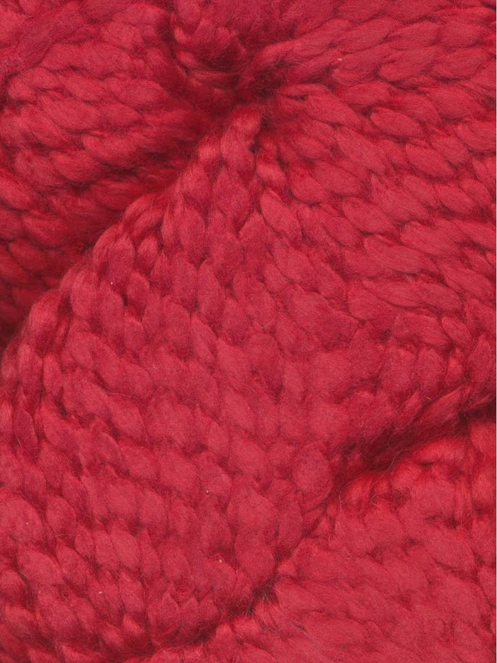 Poinsettia 112