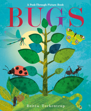 BUG - TECKENTRUP