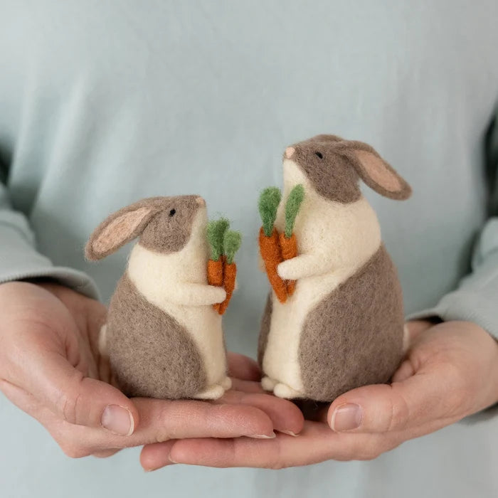 Bunnies & Carrots Needle Felting Kit