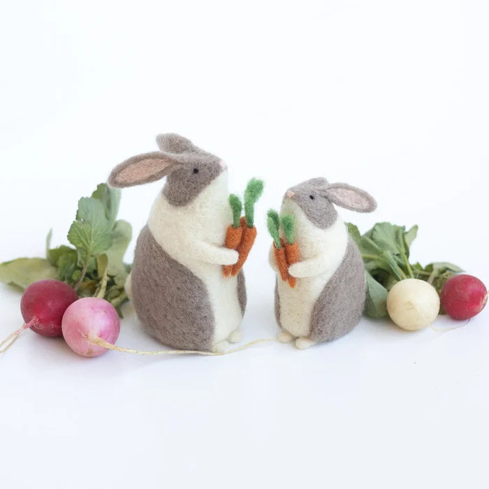 Bunnies & Carrots Needle Felting Kit