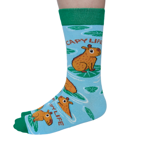 Caby Life socks for her – fun women’s socks with cute and cozy lifestyle design