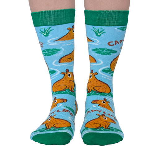 Caby Life socks for her – fun women’s socks with cute and cozy lifestyle design