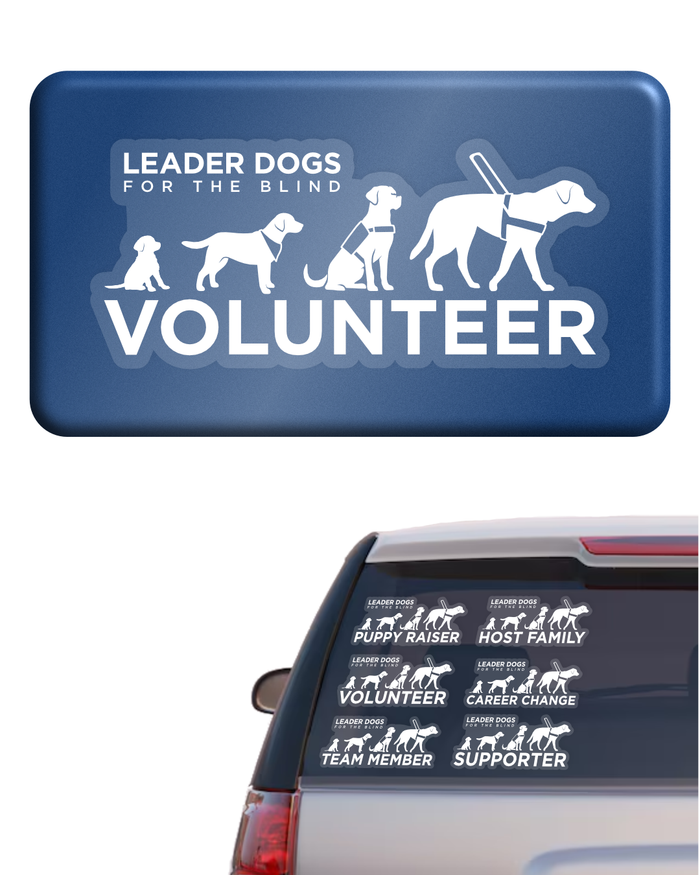 Car Decal Sticker - LDB Evolution