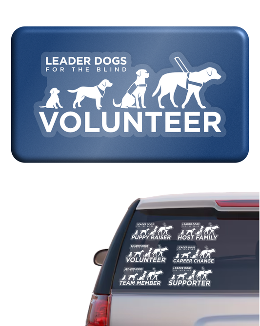 Car Decal Sticker - LDB Evolution