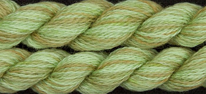 Dried Sage