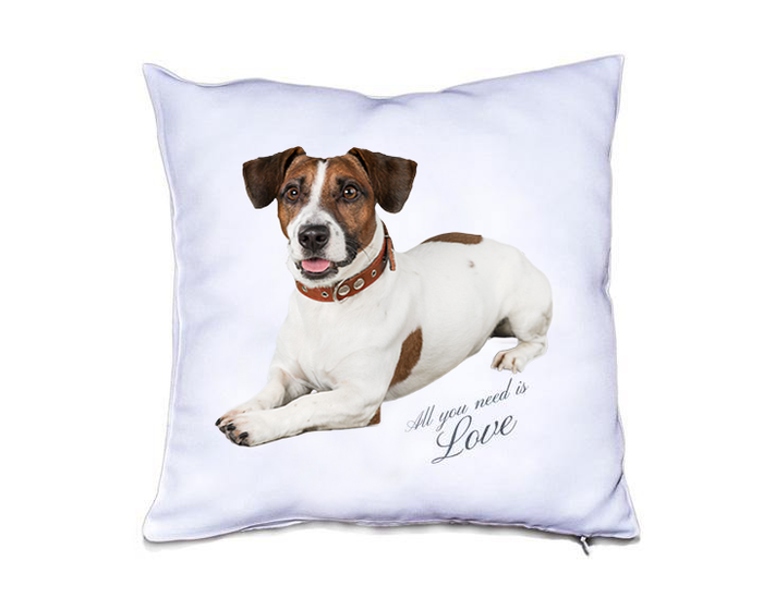 Custom Pillow Case - All you need is Love