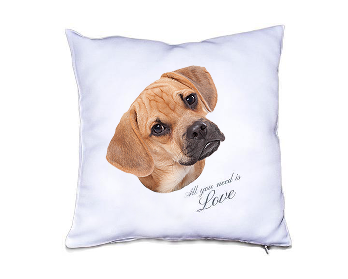 Custom Pillow Case - All you need is Love