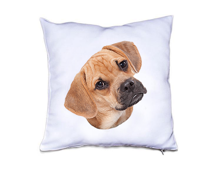 Custom Pillow CASE - BLANK