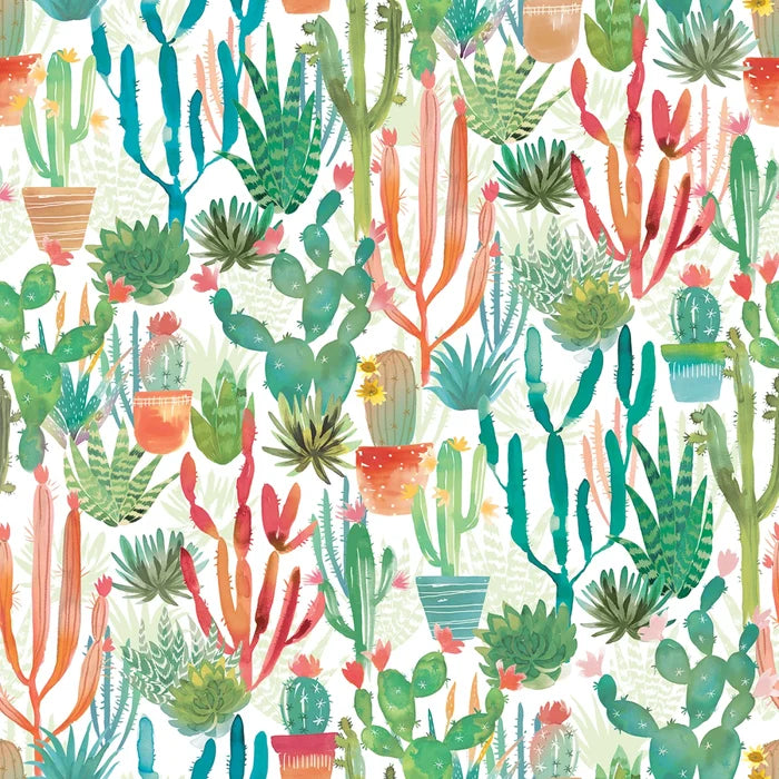 Desert Dreams