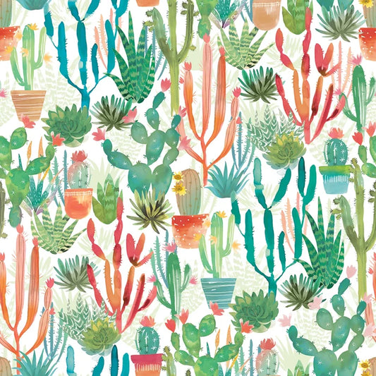 Desert Dreams