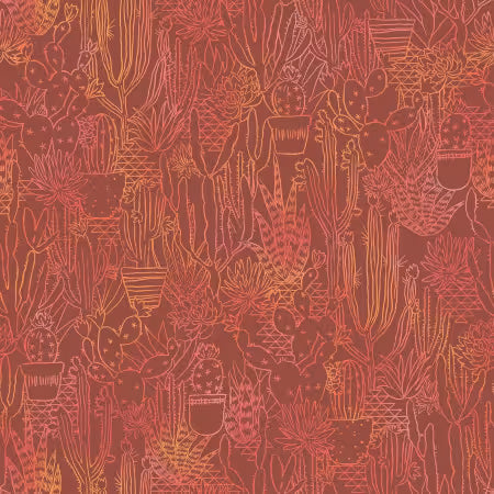 Desert Dreams