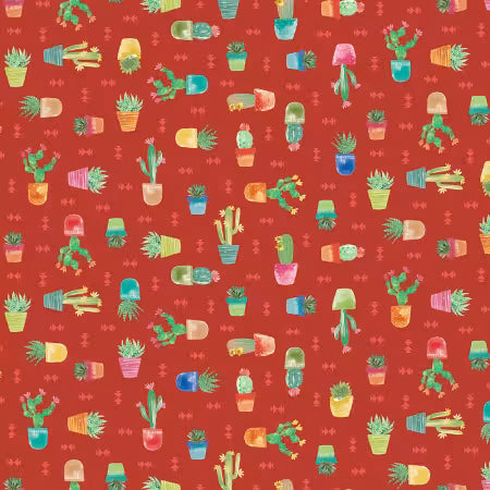 Desert Dreams