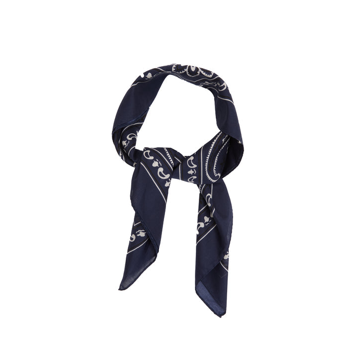 Drake's Paisley Bandana in Navy