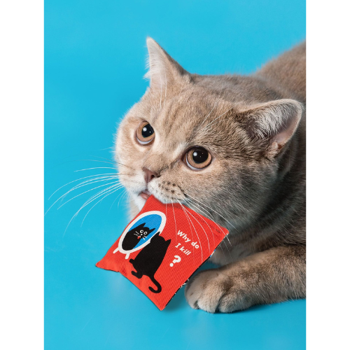 Existential Kitty Catnip Toy – a small catnip-filled toy shaped like a thoughtful kitty, perfect for cats to play with and nibble.