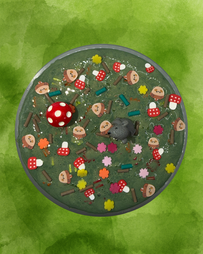 Forest Foraging