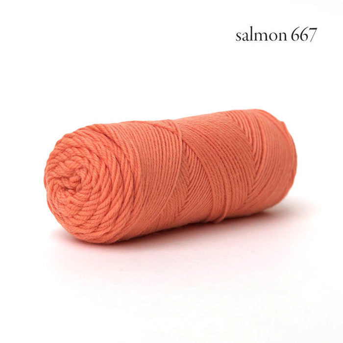 Salmon