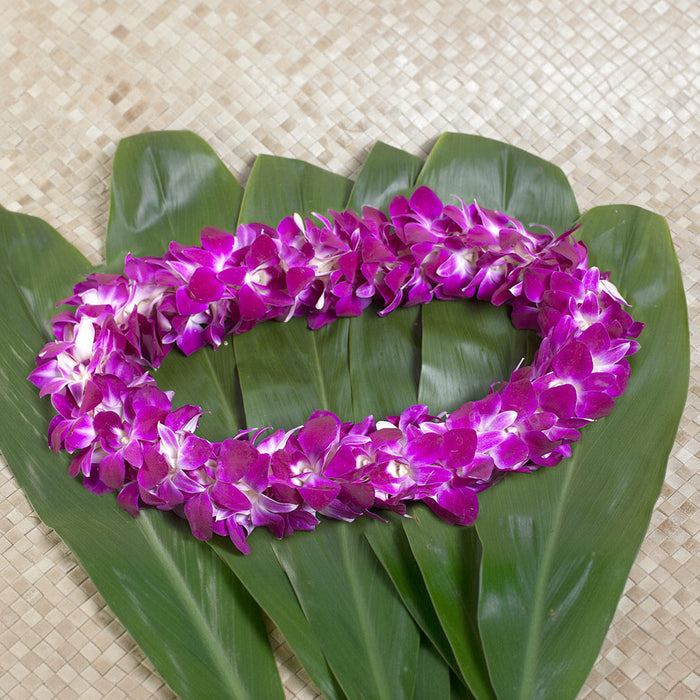 GRADUATION LEI 2 PACK - MAILE STYLE TI LEAF LEI & DOUBLE PURPLE ORCHID LEI