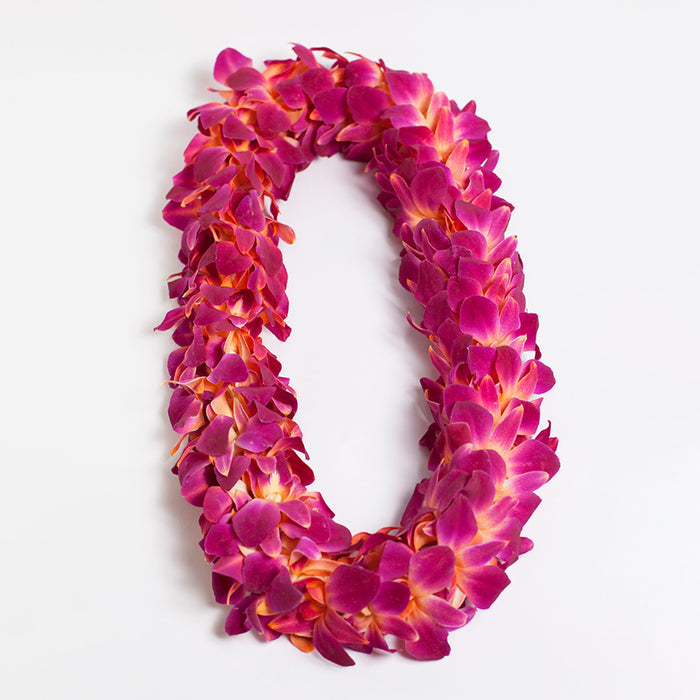 GRADUATION LEI 2 PACK - MAILE TI LEAF STYLE WITH ORCHID LEI WRAP & DOUBLE DYED ORCHID LEI