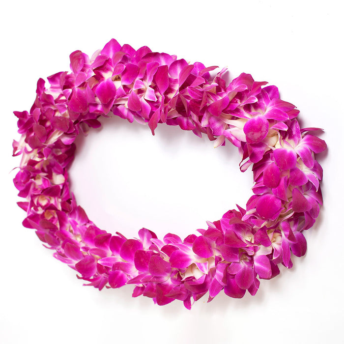 GRADUATION LEI 2 PACK - MAILE TI LEAF STYLE WITH ORCHID LEI WRAP & DOUBLE DYED ORCHID LEI