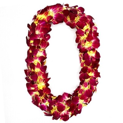 GRADUATION LEI 2 PACK - MAILE TI LEAF STYLE WITH ORCHID LEI WRAP & DOUBLE DYED ORCHID LEI