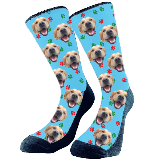 Holiday - Paws