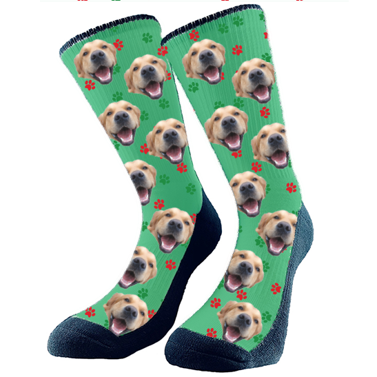 Holiday - Paws