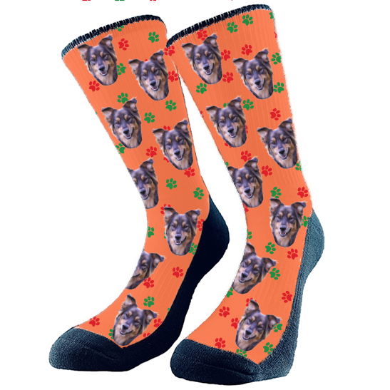 Holiday - Paws