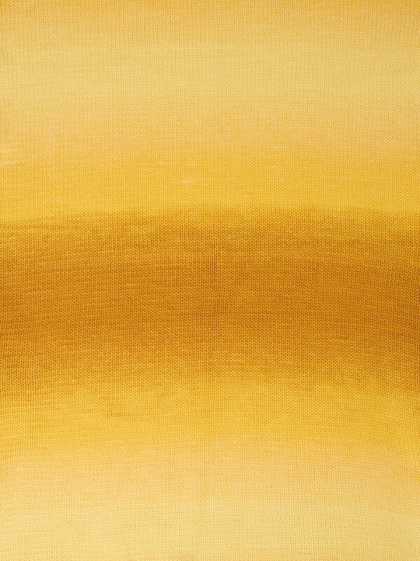 Golden Sun 110