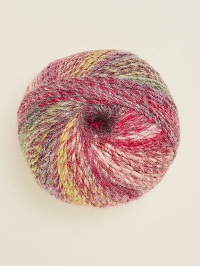 208 Sea Anemone
