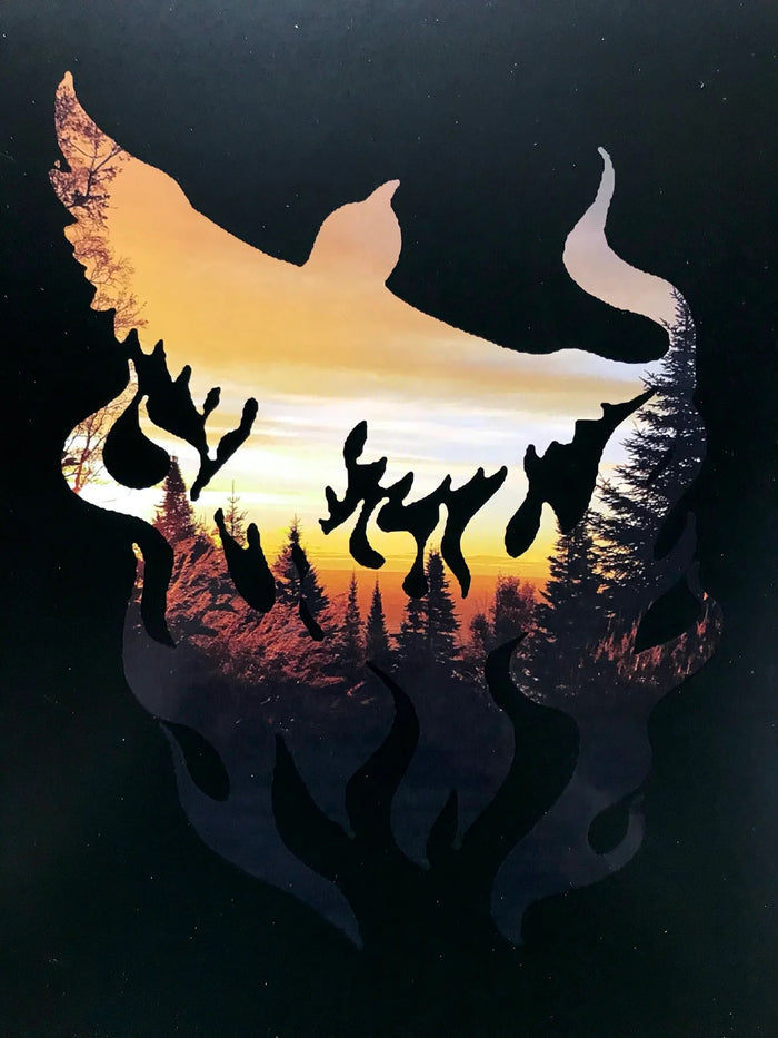 Live Migration 2LP + CD