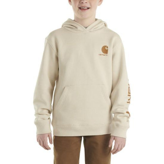 Carhartt boys long-sleeve graphic sweatshirt in malt