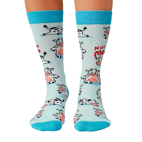MOODY COW SOCKS. Not in the mood women's crew socks. Cows in funny positions all over the socks with light blue background.