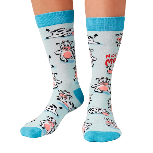 MOODY COW SOCKS. Not in the mood women's crew socks. Cows in funny positions all over the socks with light blue background.