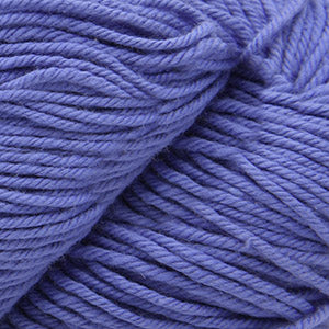 43 Blue Iris