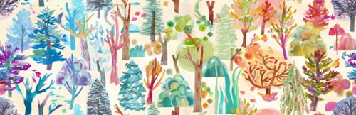 Northern Brights