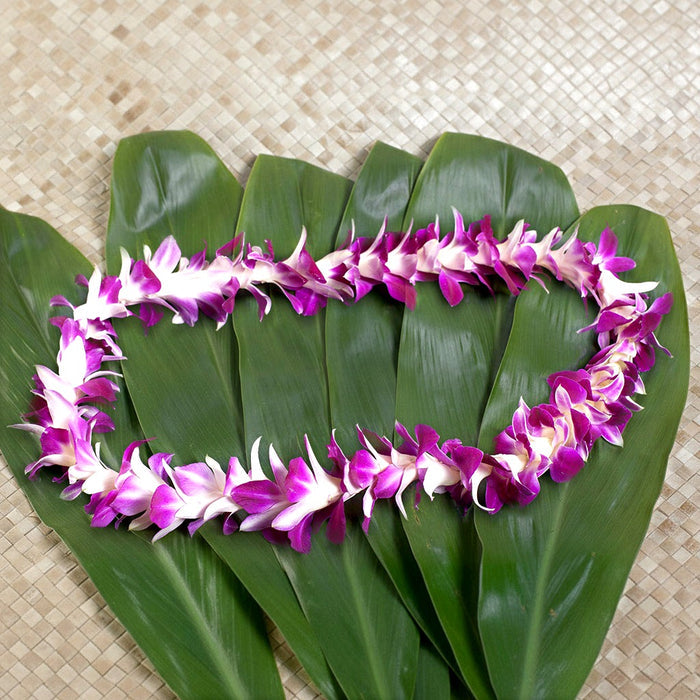 Fresh Dendrobium Orchid Leis - Wholesale Hawaiian Quality - Free shipping