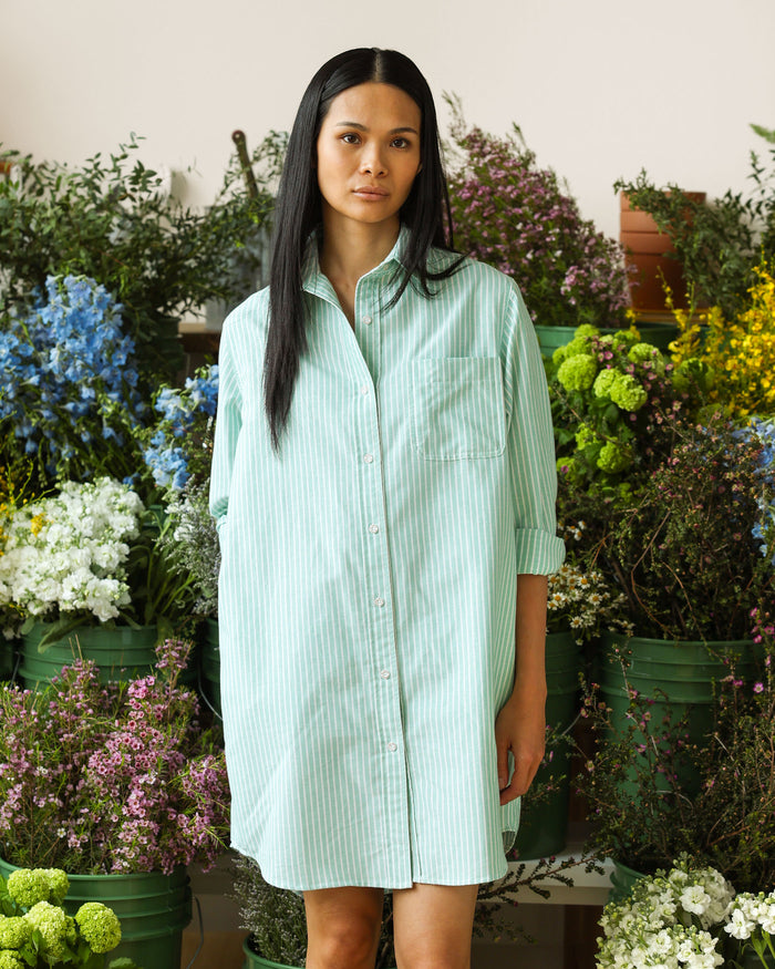Made in Canada 100% Cotton Oxford Wide Stripe Dress Green - Province of Canada