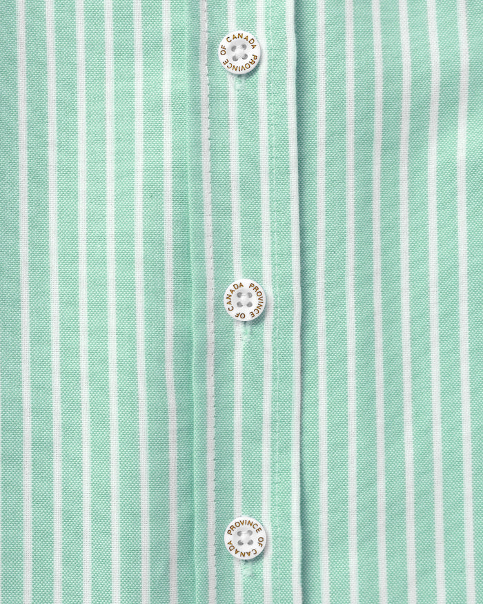 Made in Canada 100% Cotton Oxford Wide Stripe Dress Green - Province of Canada