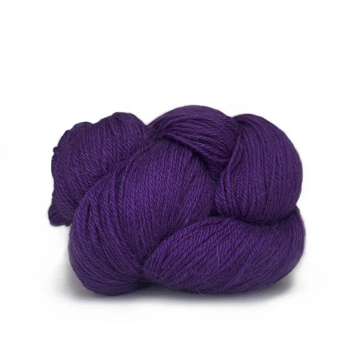 507 Violet