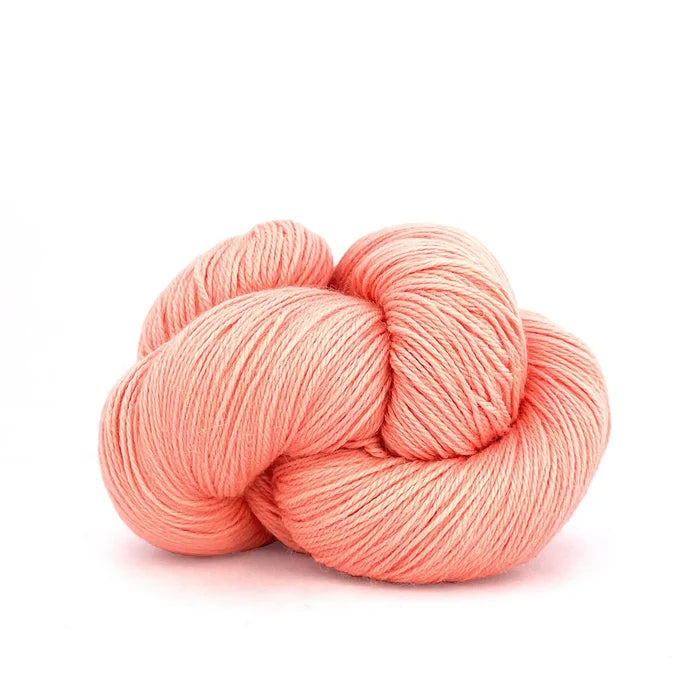 865 Cantaloupe