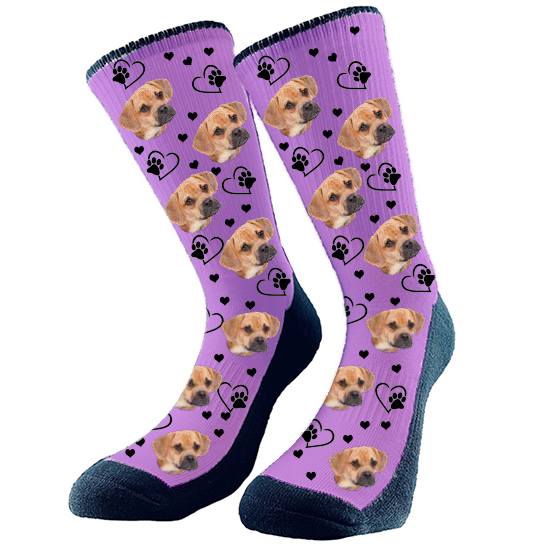 2 / Purple